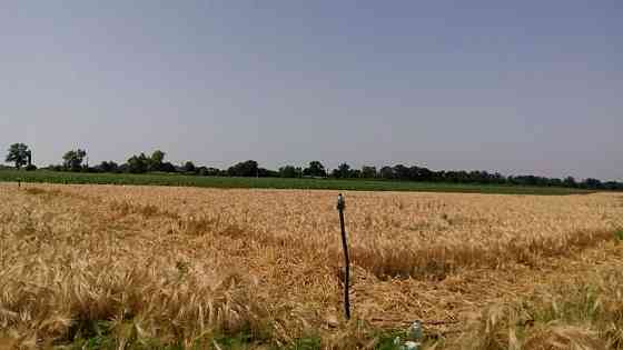 Продаж земельної ділянки 10 соток на АН Купи Дім Кропивницький