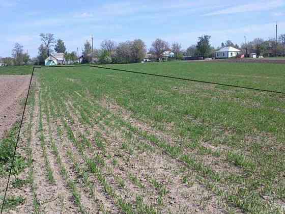 Продаж земельної ділянки 15 соток на Гагарина Сеньківка