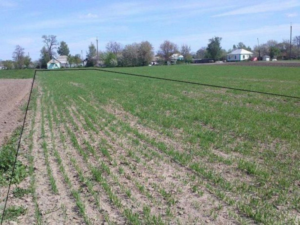 Продаж земельної ділянки 15 соток на Гагарина Сеньківка - фото 2