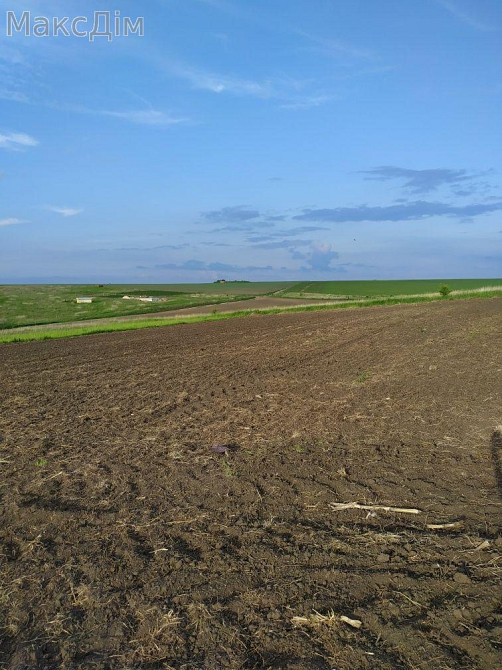 Продаж Будинок на вул. Січових Стрільців Байковцы - изображение 4