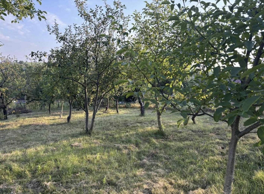 Продаж Будинок 2-кімнатний на вул. Набережна Карпилівка (Рівненський район) - фото 5