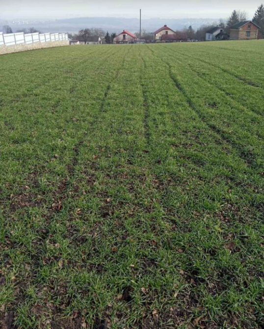 Продаж земельної ділянки 14 соток Ternopil' - photo 1