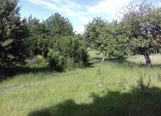 Продаж земельної ділянки 48 соток на Корчак Zhytomyr