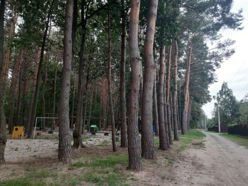 Продаж земельної ділянки 6 соток на садовое товарищество - Радуга Переяслав-Хмельницкий - изображение 10