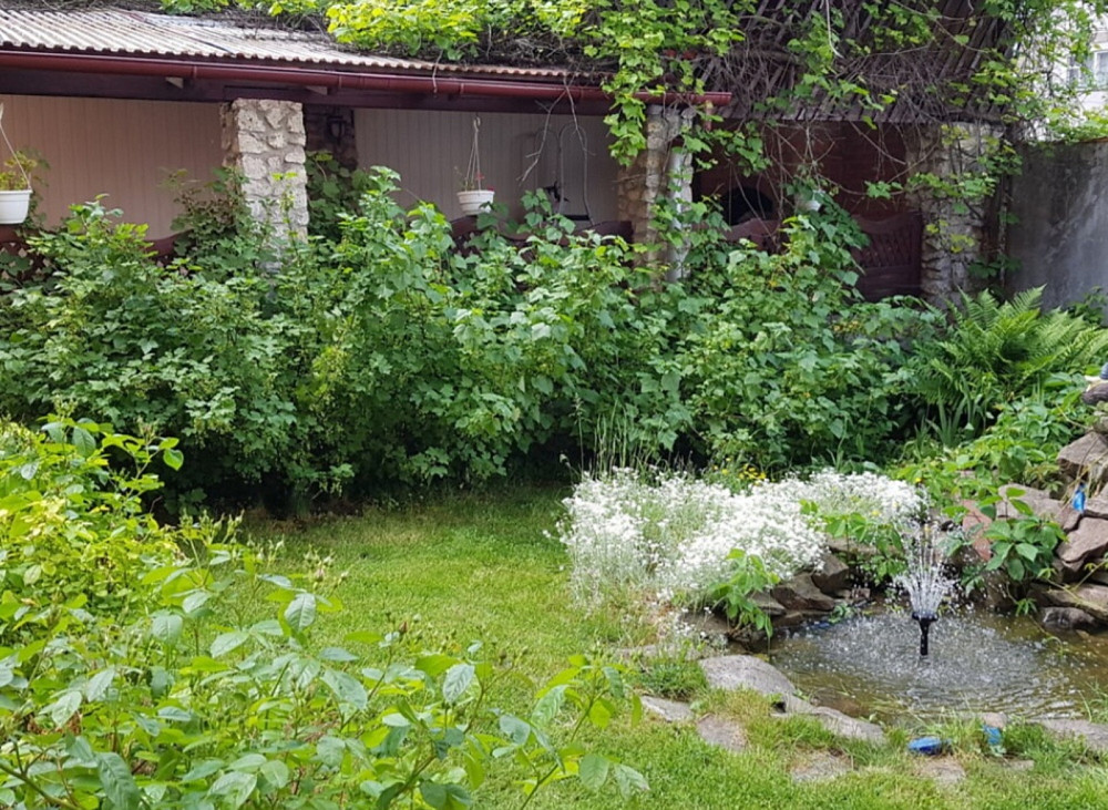 Продаж просторого будинку 540м у Петриках біля ліс  - фото 20