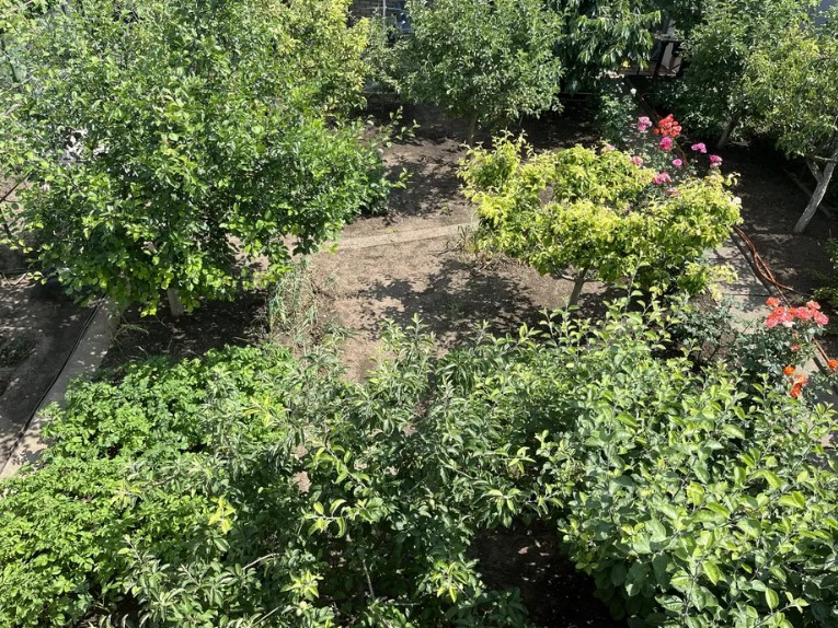 Продам дом-дачу в Алтестово, 26 км от Одессы (Киевская трасса) Алтестове - фото 2