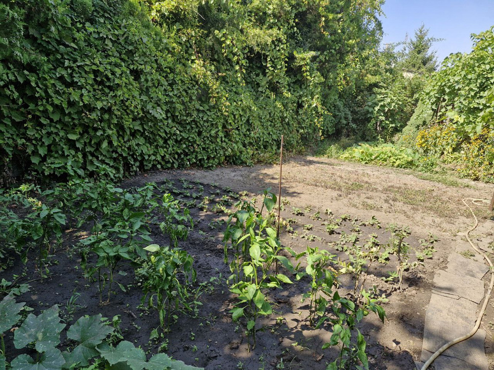 Дом в Суворовском районе (рядом Слободка и Усатово) Одесса - изображение 19