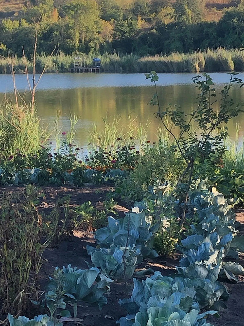 Продається будинок із садом та виходом до річки Високі Байраки - фото 12