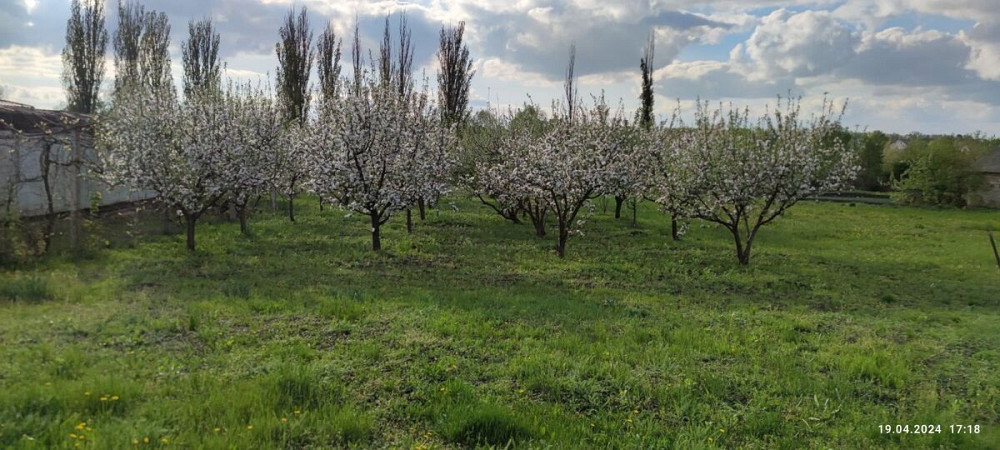 Продаж земельної ділянки 35 соток на Лесі Українки вул 11 Кропивницький - фото 2