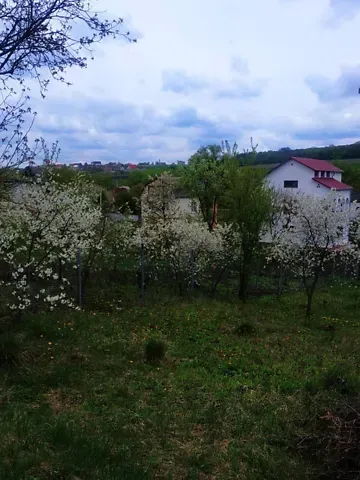 For sale land plot  area 6 ares Зелена вулиця  - photo 14