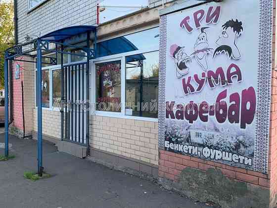 Оренда Будинок на Сім'ї Стешенків вул., 3 Київ