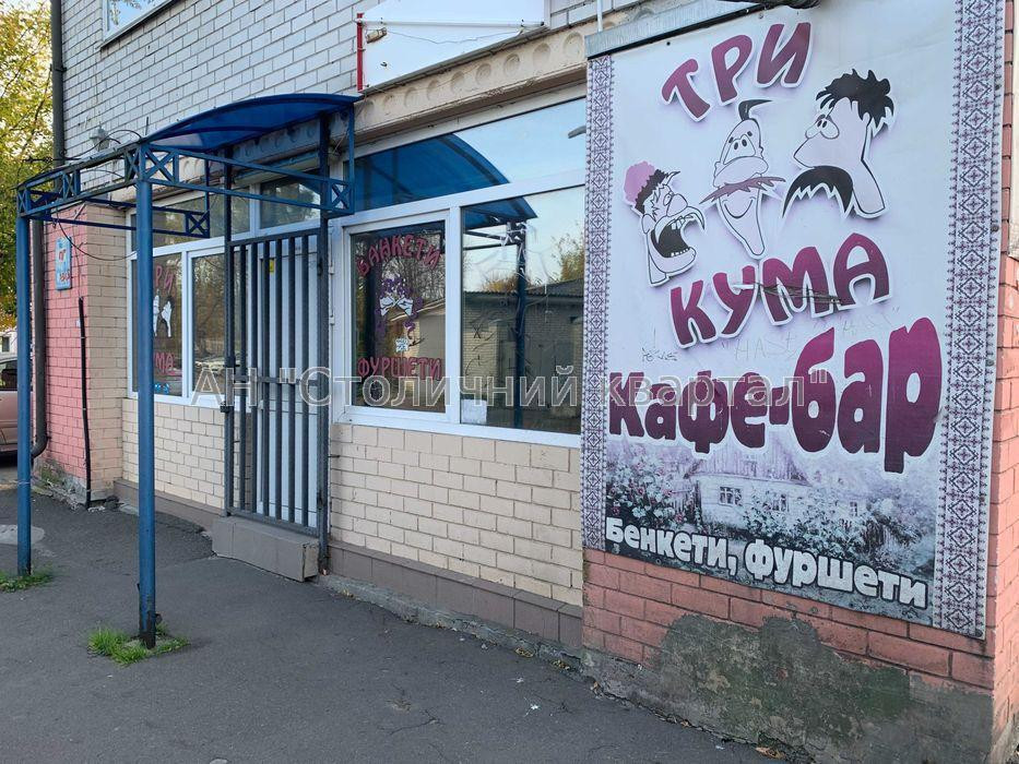 Оренда Будинок на Сім'ї Стешенків вул., 3 Київ - фото 6