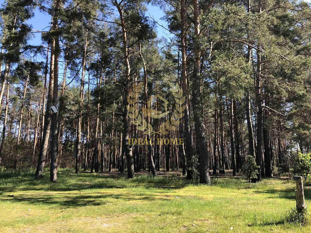 Продам гарний та комфортний дачний будинок у с.Власівка Власівка - фото 11