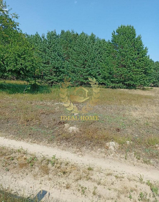 Продам будинок с. Рожни, Броварський район  - фото 18