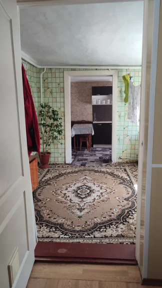 Продам дом в пгт Ивановка (70 км от Одессы по Киевской трассе) Іванівка (Іванівський район) - фото 9