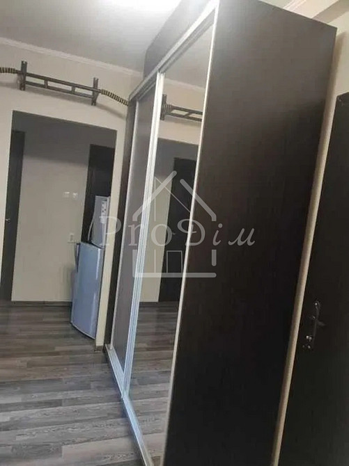 Оренда Квартира 1-кімнатна, 8/9 поверх на Європейського союзу, 10 Киев - изображение 11