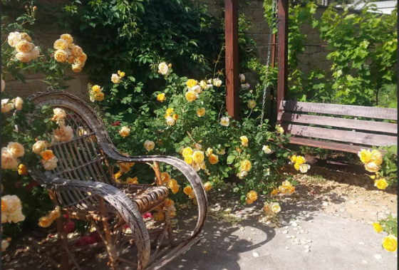 Кирпичный хозяйский дом  320кв.м   8 соток Червоный хутор Limanka