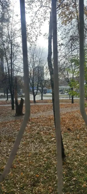 Продажа 3к Квартира 65 кв.м тополь-1 Днепр - изображение 12