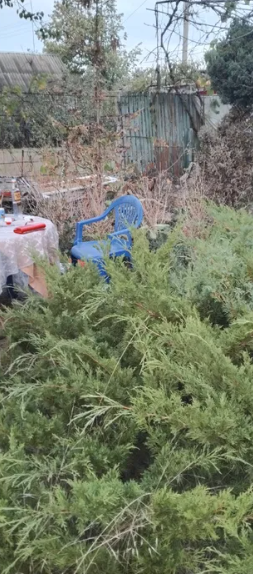 Продам дачу на берегу Аджалыкского лимана (Новодофиновский кооператив) Нова Дофінівка - фото 9