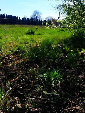 For sale land plot  area 15 ares Галицька вулиця  - photo 11