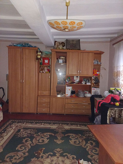 Продам дом в Троицком Новотроїцьке (Любашівський район) - фото 2