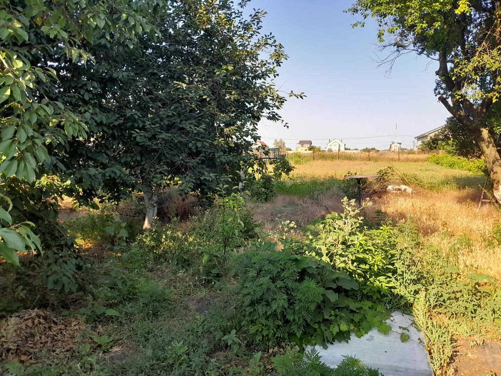 Продам домик с участком 6.8 соток в Фонтанке-3 (Лиманский р-н, 5 км от Одессы) Фонтанка - фото 14