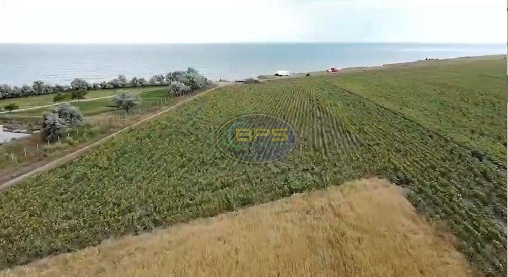 Продаж земельної ділянки 2 га Івано-Миколаївка - фото 3