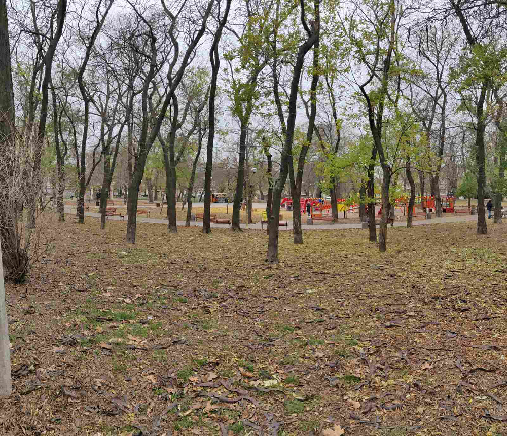 3 ТВ -Дом   Продам 2-х комн. в Центре / Одеса - фото 19