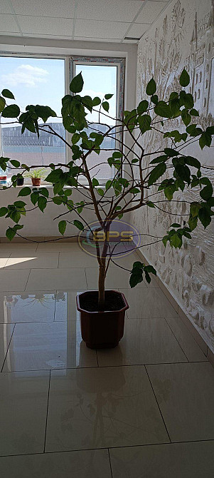 Продаж 1к квартири 18 кв. м Одеса - фото 12