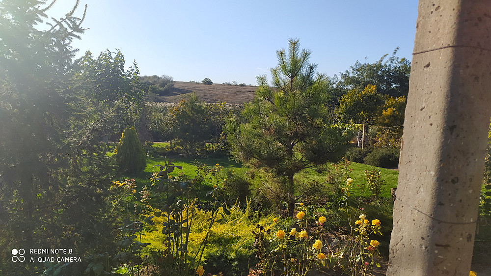 Продаётся прекрасный дом-усадьба в с. Великий Дальник Великий Дальник - фото 12