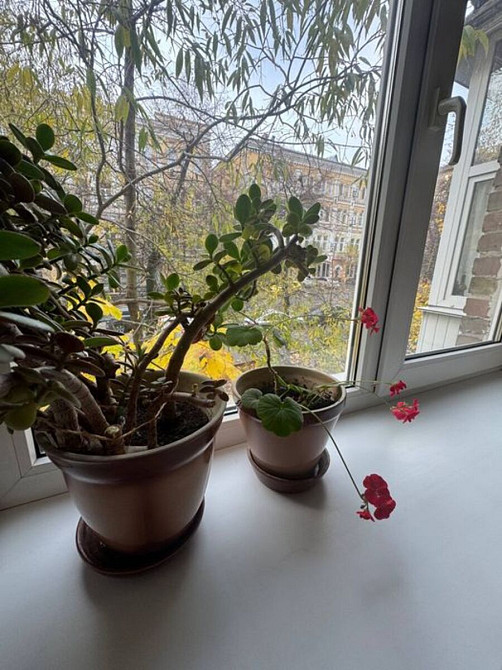 Оренда Квартира 1-кімнатна, 1/5 поверх на Тарасівська, 3 Kiev - photo 2