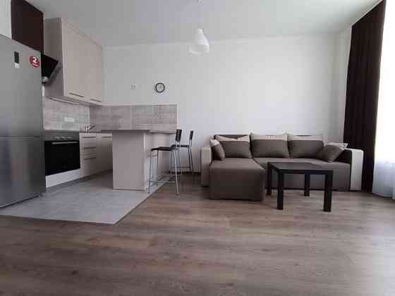 Оренда Квартира 1-кімнатна, 10/25 поверх на ул. Елены Пчилки, 5-а Київ