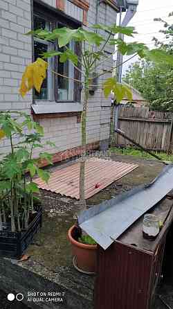 Продаж Будинок 5-кімнатний на вул. Водобудний провулок 