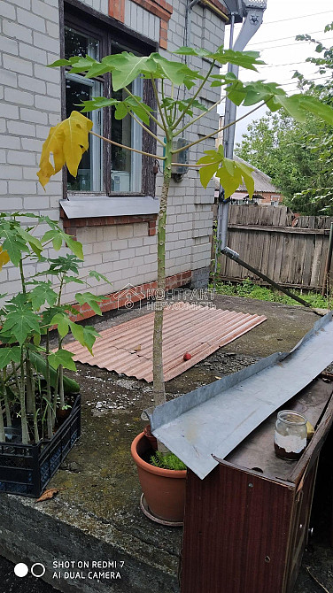 Продаж Будинок 5-кімнатний на вул. Водобудний провулок  - photo 1