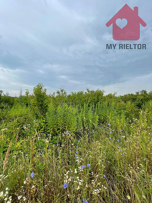 Продаж земельної ділянки 12 соток на Горяни Uzhhorod - photo 5