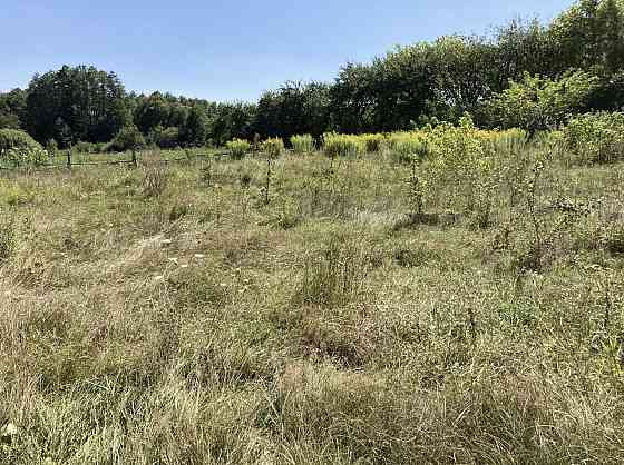 Продаж земельної ділянки 10 соток на Левків Житомир