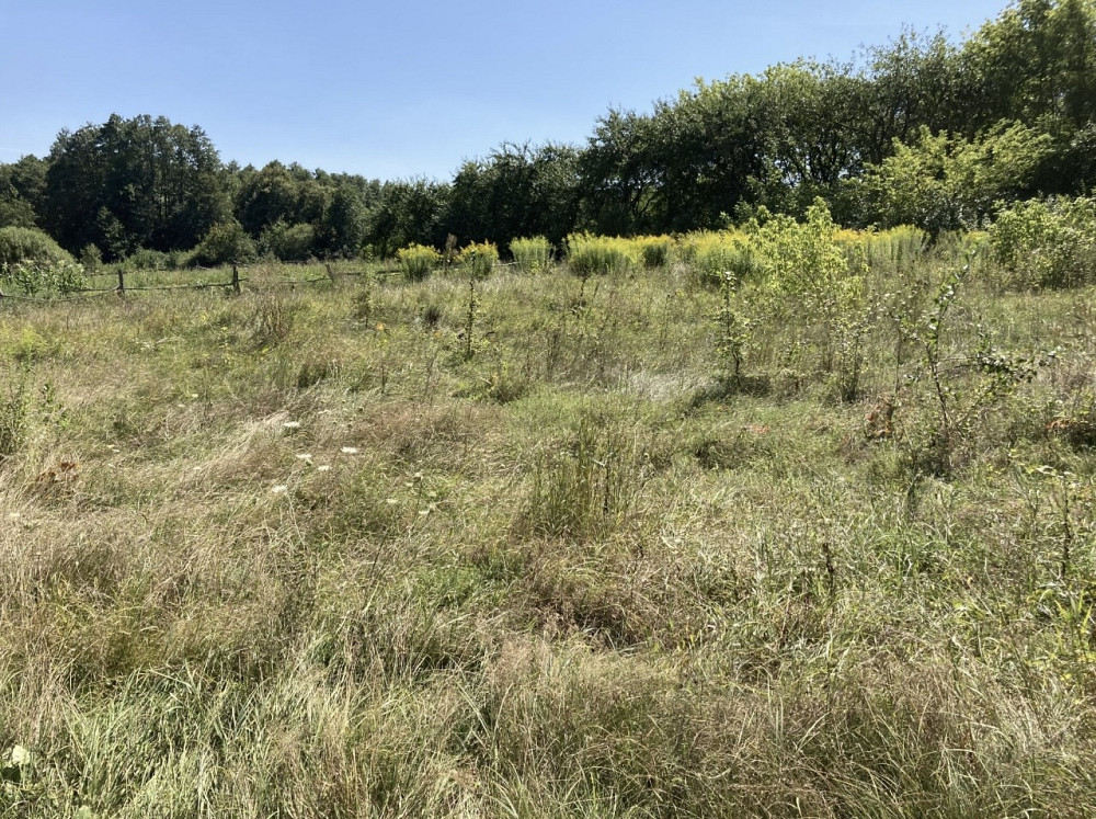 Продаж земельної ділянки 10 соток на Левків Zhytomyr - photo 3