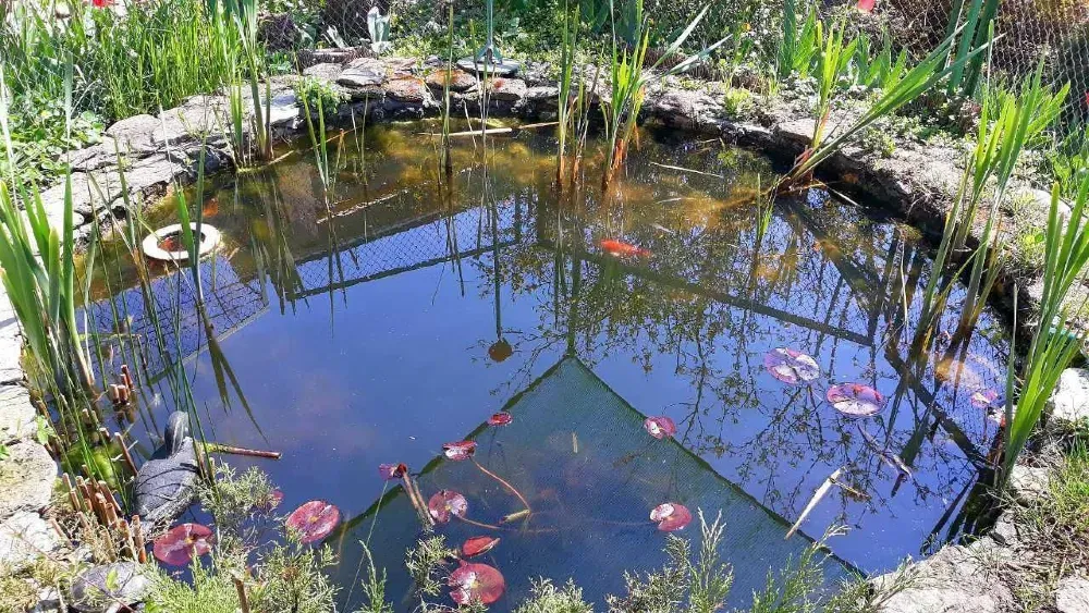 Продаж 3-поверховий Будинок з ділянкою 10 сот 478 кв.м 7+ кімн. на вулиця Южна, 34 Одеса - фото 10