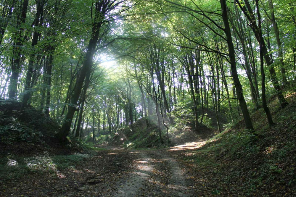 Продаж Квартира на улица Яблунева 12  - photo 15