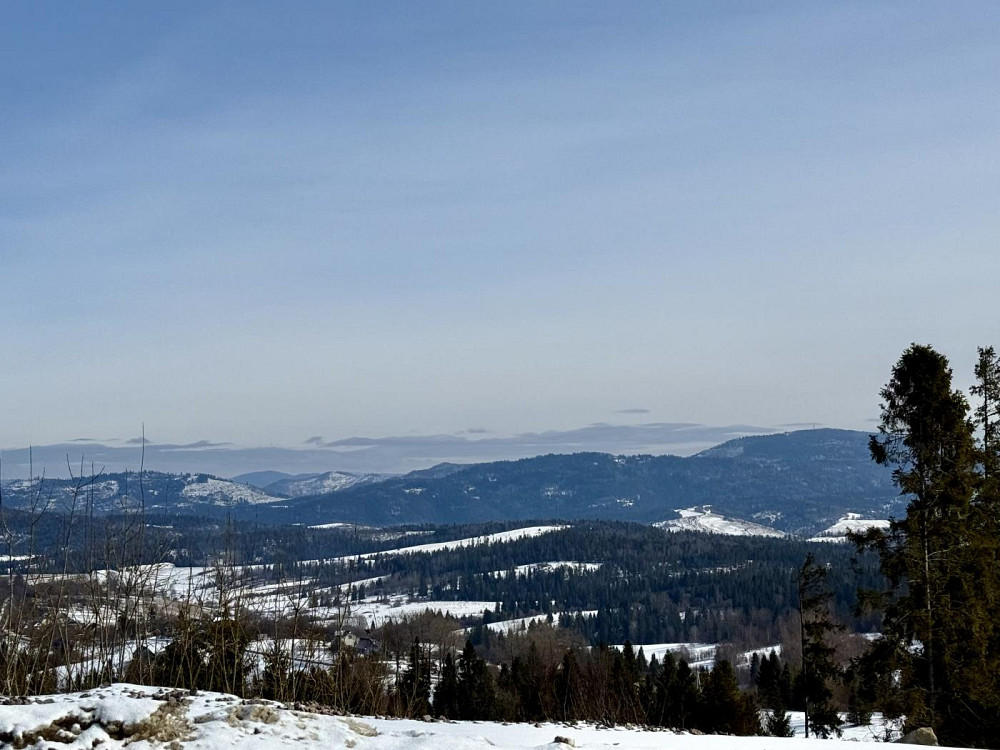 Продаж земельної ділянки 10 соток на вул. Зелена Тухолька - фото 11