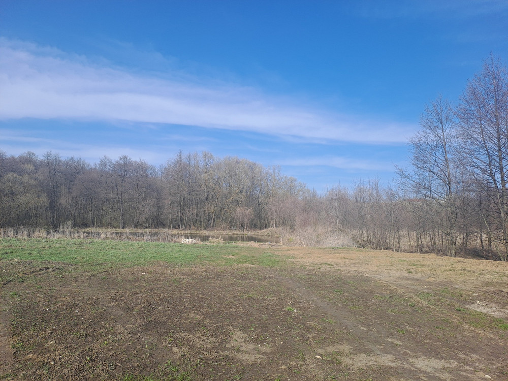 Продаж 2 поверхового будинку з ділянкою на 20 соток, 280 кв. м, Байківці Байківці - фото 11