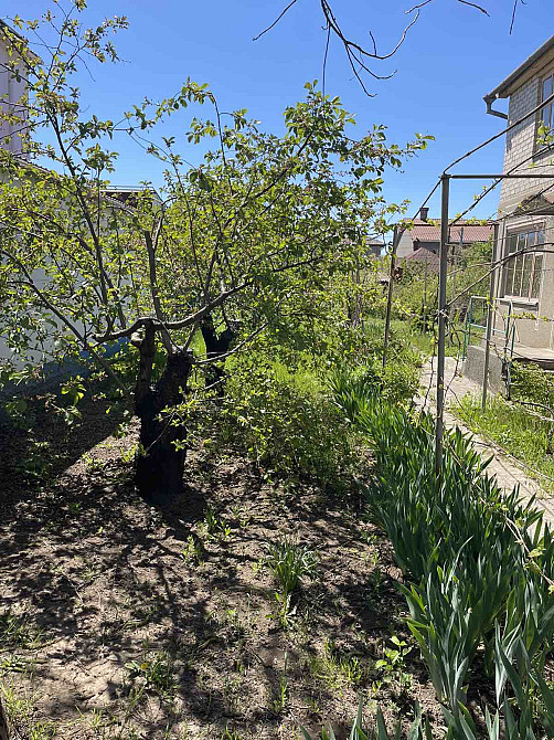 Дом 2 этажа в кооперативе "Заря" – 6 соток, сад, рядом озеро Молодіжне - фото 3