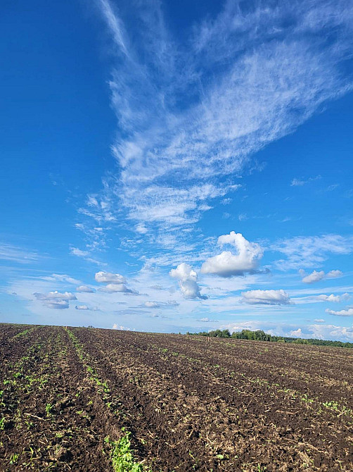 Продаж земельної ділянки 10 соток Чишки (Мостиський район) - фото 7