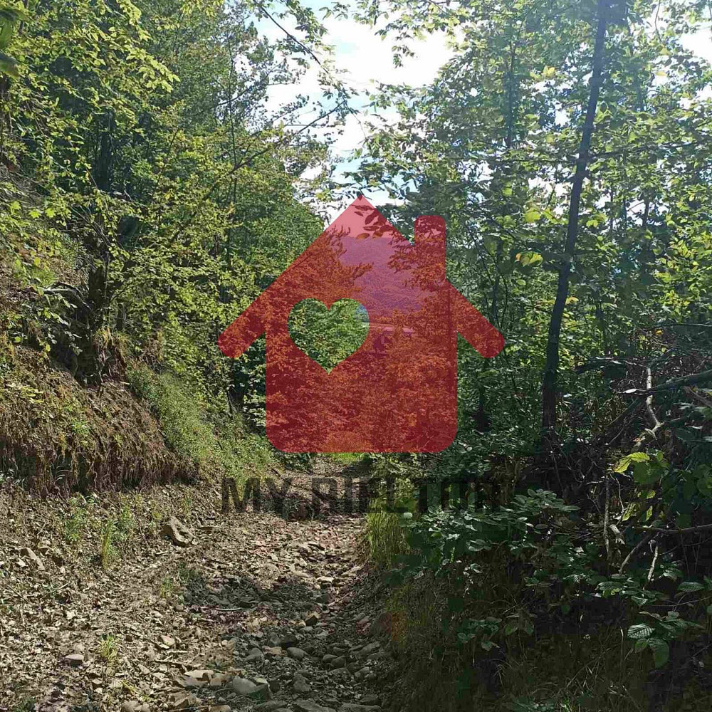 Продаж земельної ділянки 45 соток  - photo 6