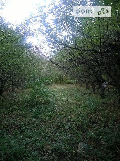 Продаж Будинок  - фото 5