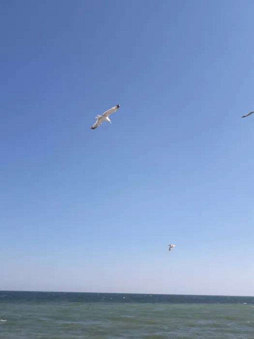 Квартира на Черемушках, ул. Ак. Филатова, Дом мебели Odessa - photo 16