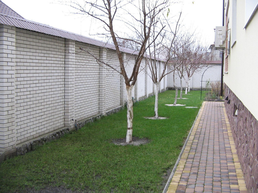 Продаж Будинок на Кринична Kiev - photo 3