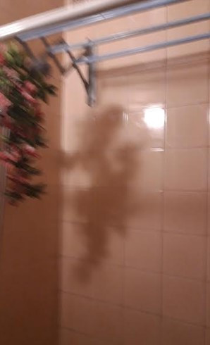 3-комнатная квартира на Таирова Odessa - photo 6