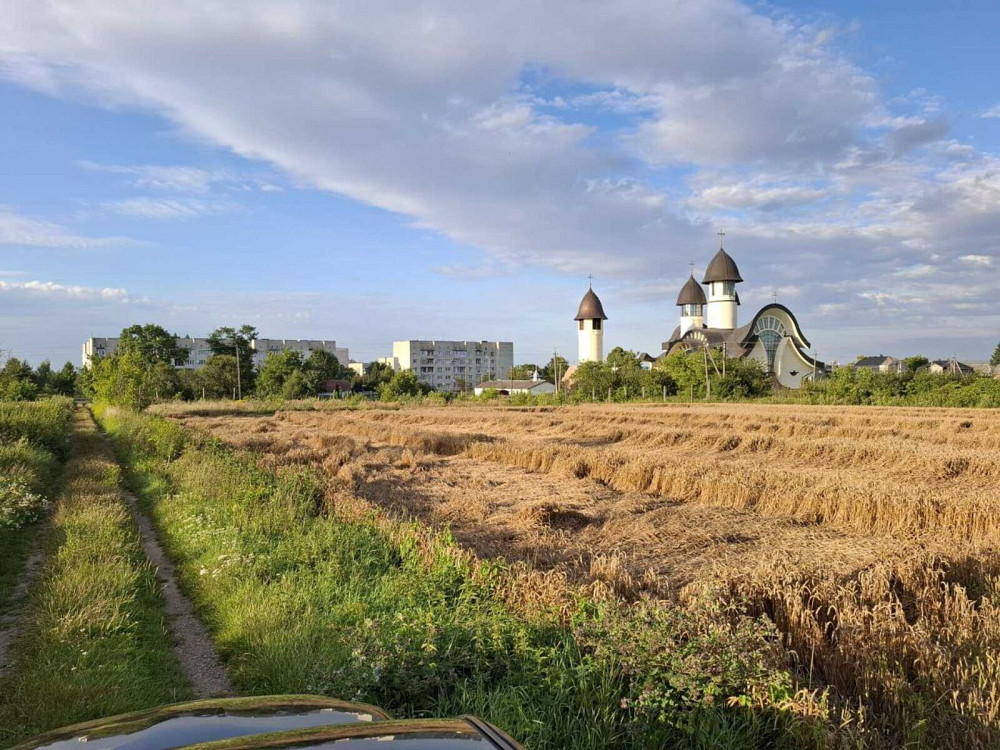 Продаж земельної ділянки 67 соток Ходорів - фото 1