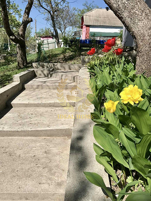 Продаж Будинок 2-кімнатний на Адмирала Петренко ул., 54 Ржищів - фото 14